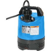 PUMPS-Electrical Submersible